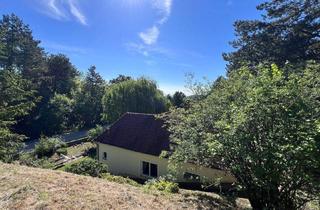 Einfamilienhaus kaufen in Steinbruchstraße, 2551 Enzesfeld-Lindabrunn, Großes Grundstück mit Haus in außergewöhnlicher Waldrandlage