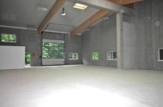 Büro zu mieten in 5400 Hallein, Vielseitig nutzbare Produktions-/ Lagerhalle