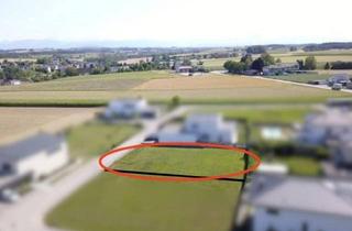 Grundstück zu kaufen in 4621 Sipbachzell, GRUNDSTÜCK IN TOLLER LAGE