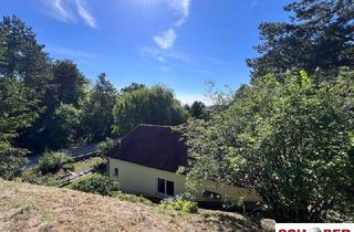 Einfamilienhaus kaufen in Steinbruchstraße, 2551 Enzesfeld-Lindabrunn, Großes Grundstück mit Haus in außergewöhnlicher Waldrandlage