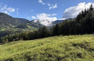 Gewerbeimmobilie kaufen in 6432 Sautens, Zwei Freilandflächen mit vielseitiger landwirtschaftlicher Nutzung in Sautens!