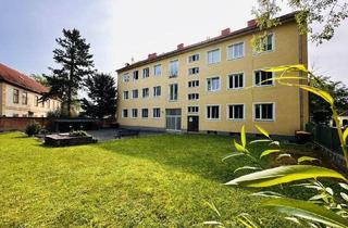 Wohnung mieten in 2620 Neunkirchen, Mikroappartement im Zentrum von Neunkirchen