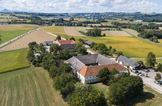 Haus kaufen in Kremsmünster, 4532 Oberrohr, Einzigartige Gelegenheit - Vierkanter Für Gewerbe und Wohnen im Wunderschönen Kremstal