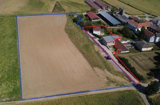 Einfamilienhaus kaufen in 3042 Würmla, Großzügiges Einfamilienhaus mit Werkstatt und Ca. 2 Ha Ackerfläche