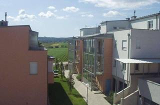 Wohnung mieten in 7210 Mattersburg, Wohnung in Mattersburg