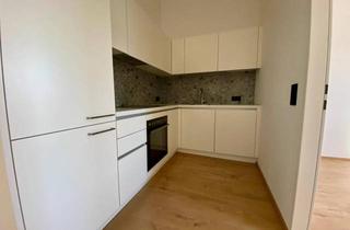 Wohnung mieten in 4600 Wels, 2-Zimmer-Dachgeschoßwohnung mit Badewanne und PKW-Tiefgaragenstellplatz in 4600 Wels zur Miete