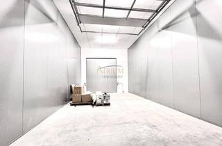 Gewerbeimmobilie kaufen in 2601 Sollenau, Hochwertige Ziegelmassivhalle inkl. laufender Mieteinnahmen direkt an der B17.