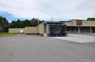 Büro zu mieten in Industriestraße, 6812 Meiningen, TOP - Lagerhalle mit Rangierfläche in Meiningen zu vermieten