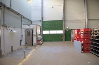 Büro zu mieten in 6262 Schlitters, Produktions- und Lagerhalle - Teilflächen möglich - mit Kühlmöglichkeit