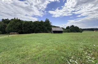 Grundstück zu kaufen in 8511 Sankt Stefan ob Stainz, Schönes Grundstück in sonniger Wohnlage - Weststeiermark