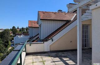 Wohnung mieten in 3420 Kritzendorf, Traumhafter Ausblick - Großzügige Terrassenwohnung mit Fernblick