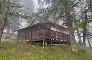 Almhütte zu kaufen in Bürgeralm 179, 8623 Aflenz Kurort, Gemütliche Almhütte in absoluter Ruhelage auf der Bürgeralm in Aflenz – Eigengrund, keine Pacht!