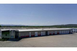 Büro zu mieten in 7041 Wulkaprodersdorf, Speditions- & Logistiklager in Top-Industrielage