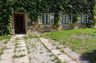 Wohnung mieten in Kreilhofstraße, 3340 Waidhofen an der Ybbs, Neu renovierte 3-Zimmer-Wohnung 79m² mit eigenem Garten und Parkplatz in Waidhofen an der Ybbs