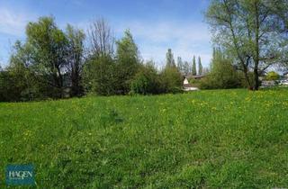 Grundstück zu kaufen in Hohenemserstraße, 6890 Lustenau, Baugrund mit Weitblick – Wohnbauland in bester Lustenauer Ortsrandlage