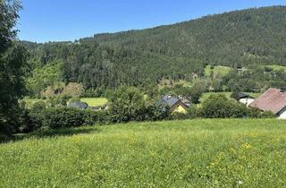 Grundstück zu kaufen in 9374 Kitschdorf, Baugrundstück 994m² in Kitschdorf/Görtschitztal, unverbaubare Aussichtslage zum Top-Preis!