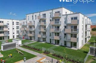 Wohnung mieten in Südheide 2/14, 2334 Vösendorf, geförderte 2 Zimmer Wohnung mit Kaufoption | Top 2/14