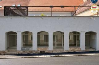 Büro zu mieten in Altstadt, 3500 Krems an der Donau, Im Zentrum: Geschäftslokal / Lager