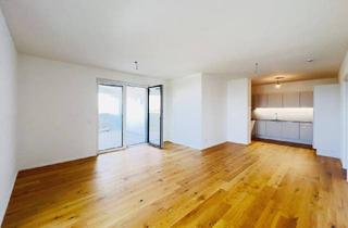 Wohnung mieten in Willi-Gruber-Straße, 3100 Sankt Pölten, Stadtflair & Naturidylle: Ihr perfektes Zuhause wartet!