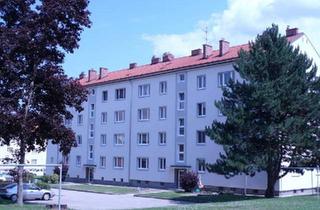 Wohnung mieten in 3950 Gmünd, Wohnen in Gmünd I 2 Zimmer