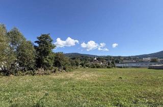 Grundstück zu kaufen in 8184 Anger, Grundstück im Kerngebiet 3.825 m² - Potenzial & Ausblick