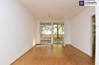 Wohnung mieten in Traungauergasse, 8020 Graz, Seltenheit: Erhöhte Gartenwohnung mit Südausrichtung – aktuell in SANIERUNG, ab November beziehbar