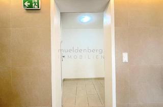 Wohnung mieten in 1210 Wien, Moderne Traumwohnung mit Garten und Terrasse nahe der alten Donau!
