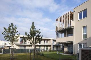Wohnung mieten in Anton Fromm-Straße, 2231 Strasshof an der Nordbahn, Großzügige 3-Zimmer-Wohnung mit sonnigem Balkon und moderner Wohnküche