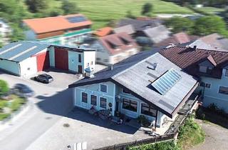 Haus kaufen in 3661 Nussendorf, Objektpaket der besonderen Art im südlichen Waldviertel - A1 & Westbahn in Griffnähe!