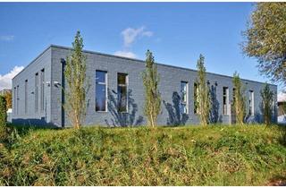 Büro zu mieten in 6890 Lustenau, Halle in Lustenau mit perfekter Grenzlage