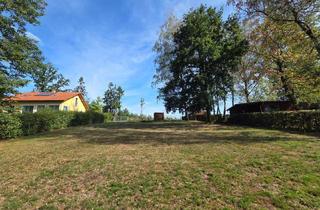 Grundstück zu kaufen in 4320 Perg, Wohnen am Waldrand – über 1.000 m² für Ihr Zuhause in der Natur