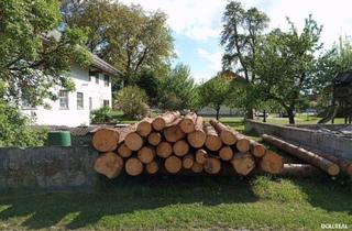 Grundstück zu kaufen in 5204 Straßwalchen, STEINDORF BEI STRASSWALCHEN: Obstgarten XL - 1.815m² Platz für Neues!