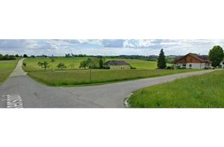 Grundstück zu kaufen in 4174 Wolkersdorf, Großzügiges Grundstück im Mischbaugebiet ohne Bauzwang - Wohn- und Arbeitsmöglichkeit kombiniert (Provisionsfrei)