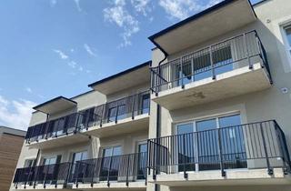 Wohnung mieten in 8401 Kalsdorf bei Graz, Herrliche 2-Zimmer-Wohnung mit Gemütlichem Süd-Balkon und Doppeltiefgaragenparkplatz in Kalsdorf