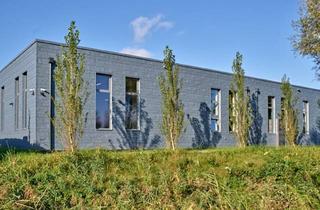 Lager mieten in 6890 Lustenau, Halle in Lustenau mit Perfekter Grenzlage