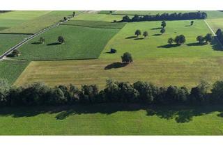 Gewerbeimmobilie kaufen in 6336 Unterlangkampfen, Landwirtschaftliche Flächen in Langkampfen – über 5 Hektar in attraktiver Lage