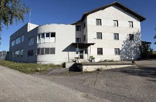 Gewerbeimmobilie kaufen in 4783 Schafberg, Gewerbegrundstück mit großen Produktionsflächen