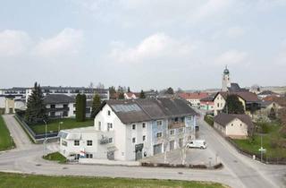 Büro zu mieten in 4552 Wartberg an der Krems, Werkstatt & Lagerflächen - mehr Raum für Ihren Bedarf und Ihre Ideen !