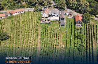 Gewerbeimmobilie kaufen in 7474 Eisenberg an der Pinka, Ehemaliger Gastronomiebetrieb mit Möglichkeit zum Hauptwohnsitz in den Weinbergen!