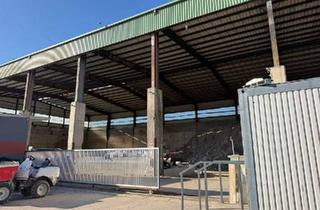 Büro zu mieten in 2601 Sollenau, PROVISIONSFREI!!! Große Halle, Lagerhalle mit Betonplatz