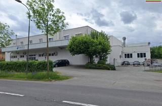 Gewerbeimmobilie kaufen in 9524 Villach-Seebach-Wasenboden, Sofort betriebsbereite Produktionsimmobilie mit starker technischer Infrastruktur