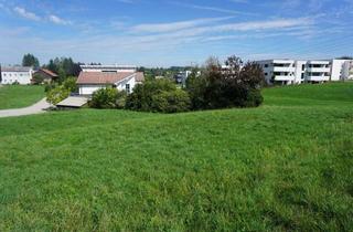 Grundstück zu kaufen in 4910 Ried im Innkreis, Baugrund - zur Gänze erschlossen - kein Bauzwang