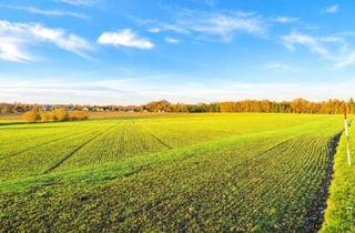 Gewerbeimmobilie kaufen in Ruderstallgassen, 5133 Gilgenberg am Weilhart, Gilgenberg am Weilhart - Außergewöhnlich attraktive landwirtschaftliche Nutzfläche
