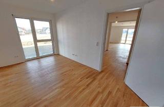 Wohnung kaufen in Felix Iribauer-Straße, 3200 Ober-Grafendorf, helle 2-Zimmer-Eigentumswohnung mit Süd-Ausrichtung und Eigengarten - KLIMAAKTIV Gold ausgezeichneter Neubau - Nähe St. Pölten - leistbares Eigentum! - hier wird Ihr Wohntraum wahr!