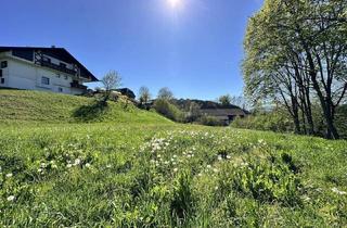 Grundstück zu kaufen in 9062 Moosburg, Traumhaftes Baugrundstück in sonniger Hanglage nahe Klagenfurt € 79/m²