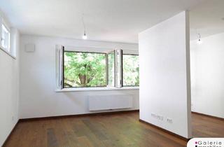 Wohnung mieten in Pülslgasse, 1230 Wien, Sehr schönes, ruhiges Apartment mit extra Süd-Terrasse!