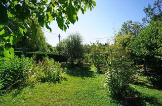 Grundstück zu kaufen in 1130 Wien, Kleingarten-Parzelle in Hietzing - Ober St. Veit beim Lainzer Tiergarten
