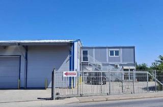 Büro zu mieten in 2201 Gerasdorf, Gewerbehallen ab 186 m² + klimatisiertes Büro - einzeln oder gesamt zu vermieten