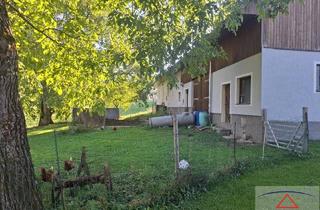 Gewerbeimmobilie kaufen in 4131 Kirchberg ob der Donau, Schönes Sacherl!