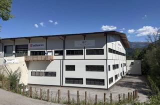 Geschäftslokal mieten in 6123 Terfens, Moderne 910m² freitragende Industriehalle in Terfens, top Ausstattung